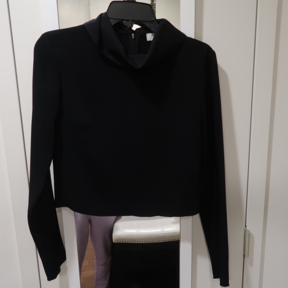Aritzia Babaton Rembrandt Blouse
